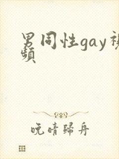 男同性gay视频