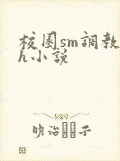 校园sm调教高h小说封面