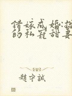 错嫁成婚:总裁的私宠甜妻
