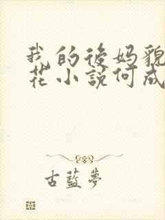 我的后妈貌美如花小说何成在线阅读