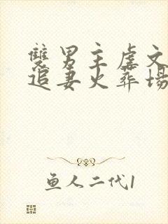 双男主虐文he追妻火葬场