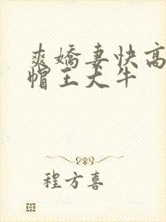 爽娇妻快高h绿帽王大牛