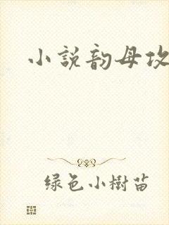 小说韵母攻略封面