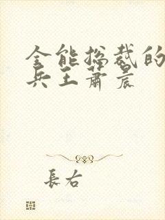 全能总裁的全能兵王萧晨