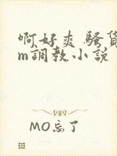 啊好爽 骚货sm调教小说封面