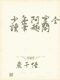 少年阿宾全文阅读笔趣阁封面