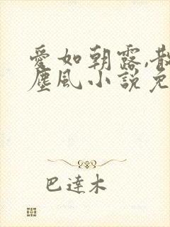 爱如朝露,散若尘风小说免费阅读