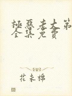 极恶老大第二季全集免费