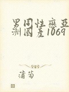 男同性恋亚洲欧洲国产1069