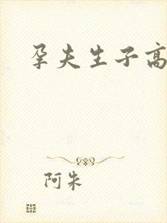 孕夫生子高h封面