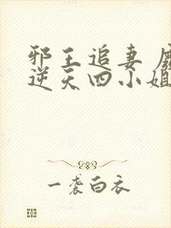 邪王追妻 废材逆天四小姐