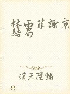 林雨菲谢京墨大结局