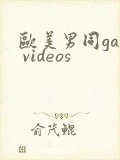 欧美男同gay videos
