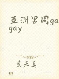 亚洲男同gaygay