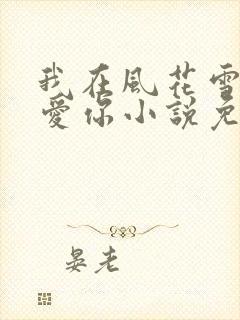我在风花雪月里爱你小说免费阅读