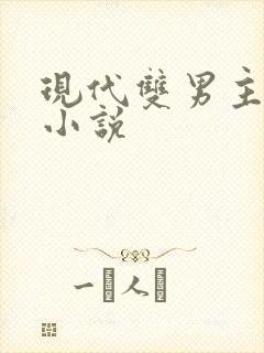 现代双男主总裁小说
