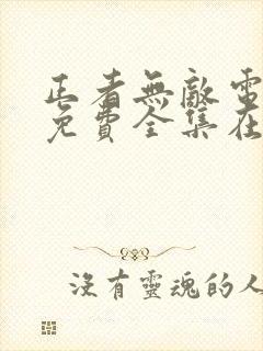 正者无敌电视剧免费全集在线观看封面