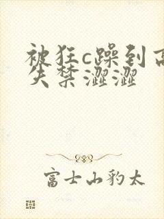 被狂c躁到高潮失禁涩涩