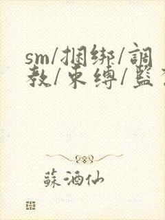 sm/捆绑/调教/束缚/监禁/羞辱/虐待