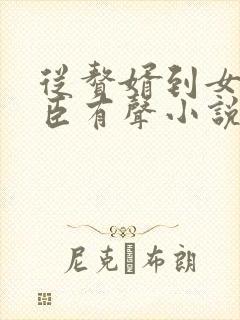 从赘婿到女帝宠臣有声小说封面
