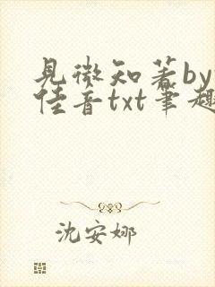 见微知著by乱佳音txt笔趣阁