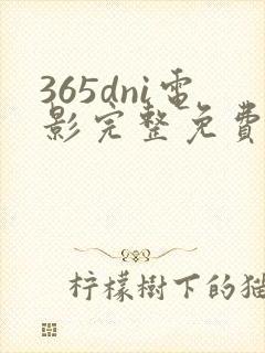 365dni电影完整免费观看