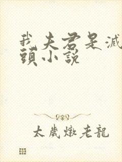 我夫君是灭世魔头小说封面