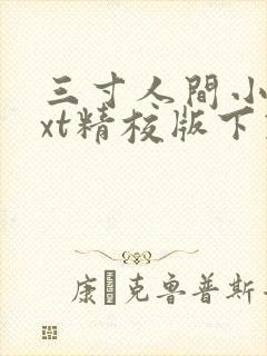 三寸人间小说txt精校版下载