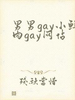 男男gay小鲜肉gay网站封面