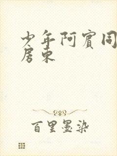 少年阿宾同人之房东