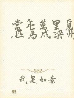 当年万里觅封侯,匹马戍梁州