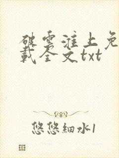 破云淮上免费下载全文txt封面