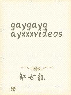 gaygaygayxxxvideos封面
