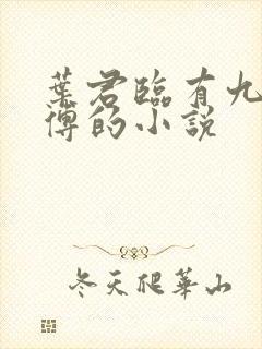 叶君临有九个师傅的小说封面