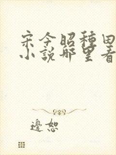 宋今昭种田致富小说哪里看