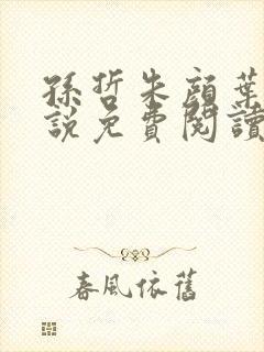 孙哲朱颜叶巧小说免费阅读笔趣阁