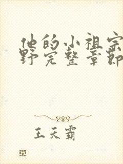 他的小祖宗甜又野完整章节下载封面