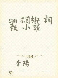 sm 捆绑 调教 小说