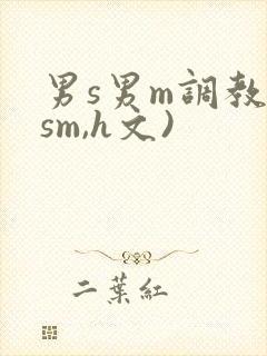 男s男m调教(sm,h文)