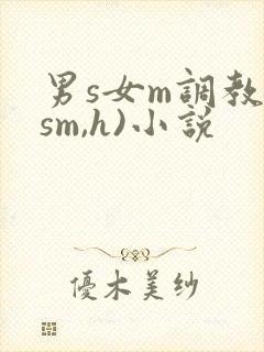 男s女m调教(sm,h)小说