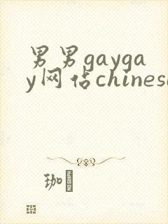 男男gaygay网站chinese封面