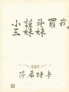 小说斗罗我是唐三妹妹