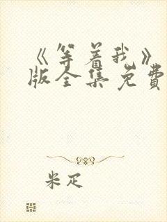 《等着我》完整版全集免费观看