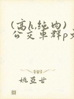 (高h,纯肉)公交车群p文小说