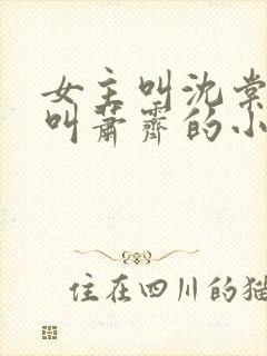 女主叫沈棠男主叫萧霁的小说