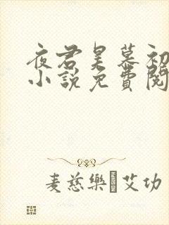 夜君昊慕初晨的小说免费阅读封面