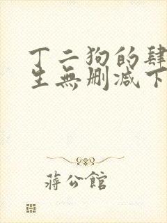 丁二狗的肆意人生无删减下载