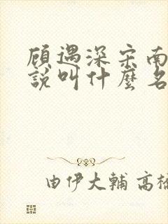 顾遇深宋南清小说叫什么名字
