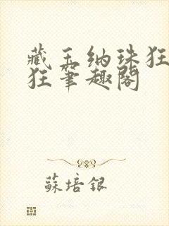 藏玉纳珠狂上加狂笔趣阁封面