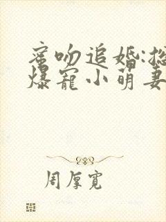 蜜吻追婚:总裁爆宠小萌妻